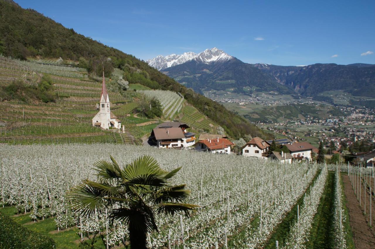 الشقق الفندقية لاغوندوفي  Oberangerhof الغرفة الصورة