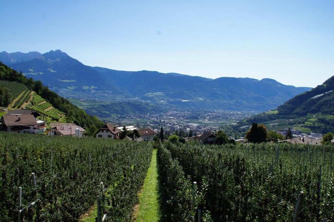 الشقق الفندقية لاغوندوفي  Oberangerhof الغرفة الصورة